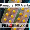 Kamagra 100 Ajanta new10